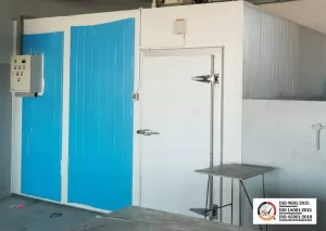 Tentang Cold Room: Fungsi, Jenis, dan Manfaat untuk Bisnis Anda